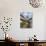 Clock Tower, Sighisoara, Transylvania, Romania, Europe-Gary Cook-Photographic Print displayed on a wall