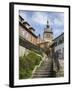 Clock Tower, Sighisoara, Transylvania, Romania, Europe-Gary Cook-Framed Photographic Print