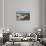 Cloghcor, Arranmore Island, County Donegal, Ulster, Republic of Ireland, Europe-Carsten Krieger-Stretched Canvas displayed on a wall