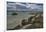 Cloghcor, Arranmore Island, County Donegal, Ulster, Republic of Ireland, Europe-Carsten Krieger-Framed Photographic Print