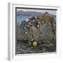 Cloghcor, Arranmore Island, County Donegal, Ulster, Republic of Ireland, Europe-Carsten Krieger-Framed Photographic Print