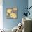 Cloisonne Beauty II Gray Crop-Shirley Novak-Mounted Art Print displayed on a wall