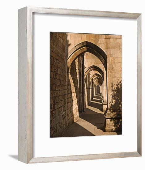 Cloister Arches-null-Framed Art Print