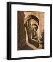 Cloister Arches-null-Framed Art Print