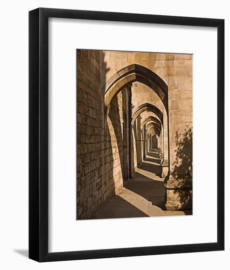 Cloister Arches-null-Framed Art Print