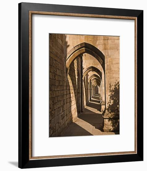 Cloister Arches-null-Framed Art Print