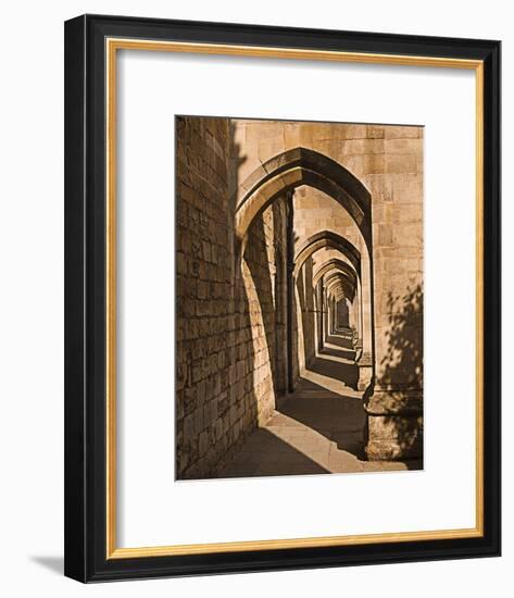 Cloister Arches-null-Framed Art Print