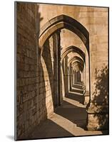 Cloister Arches-null-Mounted Art Print