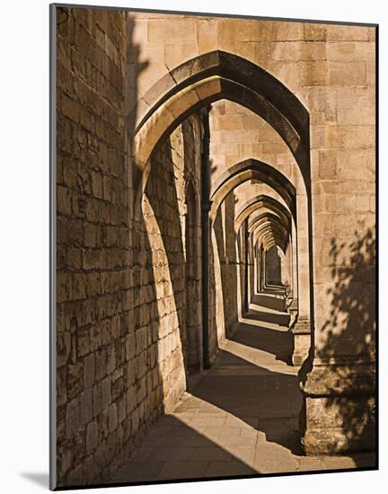 Cloister Arches-null-Mounted Art Print