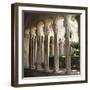 Cloister - Colonnade-Tony Koukos-Framed Giclee Print