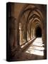 Cloister Detail, Arles, Cloitre St-Trophime, Bouches-Du-Rhone, Provence, France-Walter Bibikow-Stretched Canvas