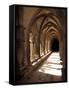 Cloister Detail, Arles, Cloitre St-Trophime, Bouches-Du-Rhone, Provence, France-Walter Bibikow-Framed Stretched Canvas