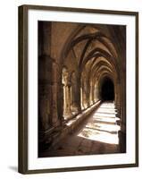 Cloister Detail, Arles, Cloitre St-Trophime, Bouches-Du-Rhone, Provence, France-Walter Bibikow-Framed Photographic Print