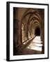 Cloister Detail, Arles, Cloitre St-Trophime, Bouches-Du-Rhone, Provence, France-Walter Bibikow-Framed Photographic Print