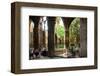 Cloister of Catedral La Seu in the Barri Gotic, Barcelona, Catalonia, Spain-null-Framed Art Print