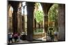 Cloister of Catedral La Seu in the Barri Gotic, Barcelona, Catalonia, Spain-null-Mounted Art Print