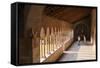 Cloister of Church of San Zeno, Verona, UNESCO World Heritage Site, Veneto, Italy, Europe-Nico-Framed Stretched Canvas