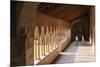 Cloister of Church of San Zeno, Verona, UNESCO World Heritage Site, Veneto, Italy, Europe-Nico-Mounted Photographic Print