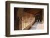 Cloister of Church of San Zeno, Verona, UNESCO World Heritage Site, Veneto, Italy, Europe-Nico-Framed Photographic Print