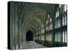 Cloister of Gloucester Cathedral-Peter Thompson-Stretched Canvas