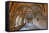 Cloister of King Dinis-G and M Therin-Weise-Framed Stretched Canvas