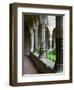 Cloister of the San Francesco Church, Sorrento, Campania, Italy-Walter Bibikow-Framed Photographic Print