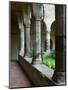 Cloister of the San Francesco Church, Sorrento, Campania, Italy-Walter Bibikow-Mounted Photographic Print