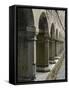 Cloister, Ross Errilly Franciscan Friary, Near Headford, County Galway, Connacht, Ireland-Gary Cook-Framed Stretched Canvas