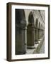 Cloister, Ross Errilly Franciscan Friary, Near Headford, County Galway, Connacht, Ireland-Gary Cook-Framed Photographic Print