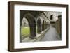 Cloister, Ross Errilly Franciscan Friary, Near Headford, County Galway, Connacht, Ireland-Gary Cook-Framed Photographic Print