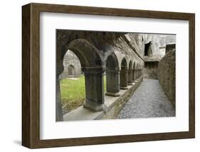 Cloister, Ross Errilly Franciscan Friary, Near Headford, County Galway, Connacht, Ireland-Gary Cook-Framed Photographic Print