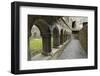 Cloister, Ross Errilly Franciscan Friary, Near Headford, County Galway, Connacht, Ireland-Gary Cook-Framed Photographic Print