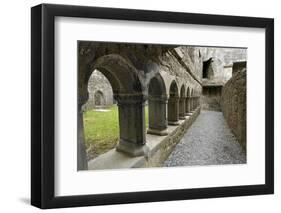 Cloister, Ross Errilly Franciscan Friary, Near Headford, County Galway, Connacht, Ireland-Gary Cook-Framed Photographic Print