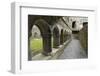 Cloister, Ross Errilly Franciscan Friary, Near Headford, County Galway, Connacht, Ireland-Gary Cook-Framed Photographic Print