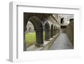 Cloister, Ross Errilly Franciscan Friary, Near Headford, County Galway, Connacht, Ireland-Gary Cook-Framed Photographic Print