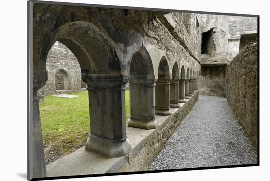 Cloister, Ross Errilly Franciscan Friary, Near Headford, County Galway, Connacht, Ireland-Gary Cook-Mounted Photographic Print