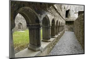 Cloister, Ross Errilly Franciscan Friary, Near Headford, County Galway, Connacht, Ireland-Gary Cook-Mounted Photographic Print