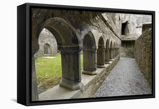 Cloister, Ross Errilly Franciscan Friary, Near Headford, County Galway, Connacht, Ireland-Gary Cook-Framed Stretched Canvas