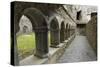 Cloister, Ross Errilly Franciscan Friary, Near Headford, County Galway, Connacht, Ireland-Gary Cook-Stretched Canvas