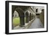 Cloister, Ross Errilly Franciscan Friary, Near Headford, County Galway, Connacht, Ireland-Gary Cook-Framed Photographic Print