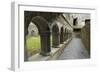 Cloister, Ross Errilly Franciscan Friary, Near Headford, County Galway, Connacht, Ireland-Gary Cook-Framed Photographic Print