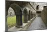 Cloister, Ross Errilly Franciscan Friary, Near Headford, County Galway, Connacht, Ireland-Gary Cook-Mounted Photographic Print