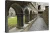 Cloister, Ross Errilly Franciscan Friary, Near Headford, County Galway, Connacht, Ireland-Gary Cook-Stretched Canvas