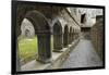 Cloister, Ross Errilly Franciscan Friary, Near Headford, County Galway, Connacht, Ireland-Gary Cook-Framed Photographic Print