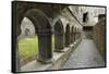 Cloister, Ross Errilly Franciscan Friary, Near Headford, County Galway, Connacht, Ireland-Gary Cook-Framed Stretched Canvas