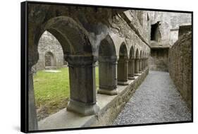 Cloister, Ross Errilly Franciscan Friary, Near Headford, County Galway, Connacht, Ireland-Gary Cook-Framed Stretched Canvas