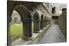 Cloister, Ross Errilly Franciscan Friary, Near Headford, County Galway, Connacht, Ireland-Gary Cook-Stretched Canvas