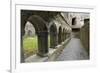 Cloister, Ross Errilly Franciscan Friary, Near Headford, County Galway, Connacht, Ireland-Gary Cook-Framed Photographic Print