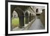 Cloister, Ross Errilly Franciscan Friary, Near Headford, County Galway, Connacht, Ireland-Gary Cook-Framed Photographic Print