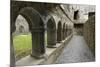 Cloister, Ross Errilly Franciscan Friary, Near Headford, County Galway, Connacht, Ireland-Gary Cook-Mounted Photographic Print